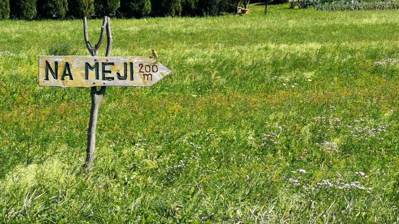 Pension Na Meji Pivka Extérieur photo